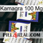 Kamagra100 Mg 12